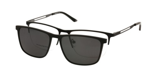 CL 10295 B