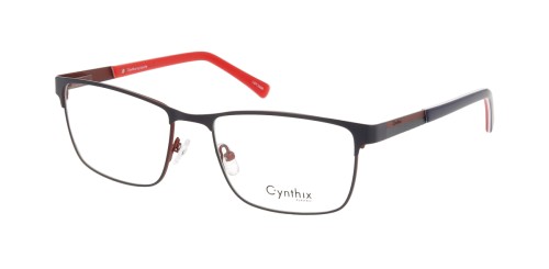 CX 10069 B