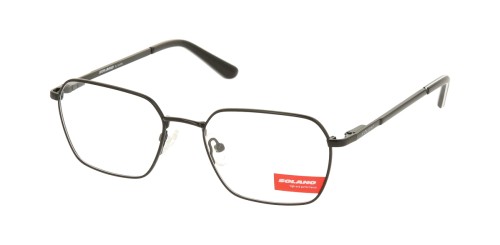 S 50313 B