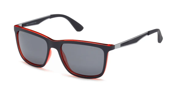 SS 20919 D