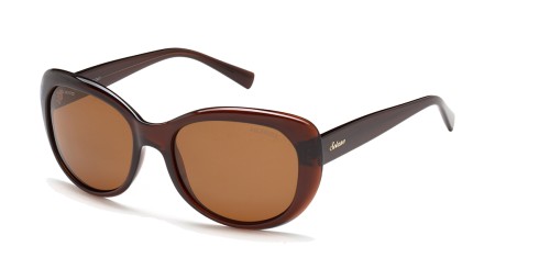 SS 20950 C