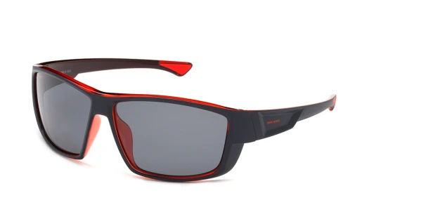 SS 20981 B