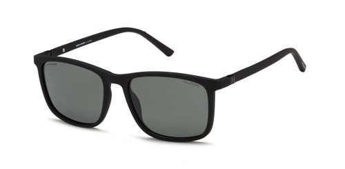 SS 20994 C