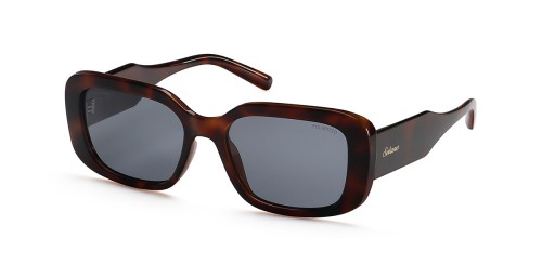 SS 21066 B