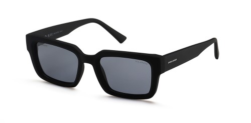 SS 21079 D